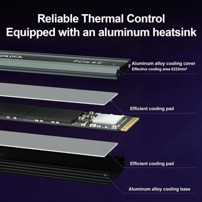 2TB M2 NVME SSD with Heatsink - PCIe Gen4.0 NVMe M.2 2280 3D NAND TLC, 4800MB/s Read, Internal Solid State Drive for PS5/PC, Dynamic SLC Cache, PS5 Storage Expansion, 5-Year Warranty(EN760)