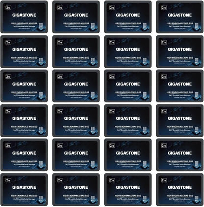 Gigastone 2TB NAS SSD Drive (24-Pack) 24/7 Durable TLC High Endurance RAID Data Storage Network Attached Storage 2.5" SATA Internal Solid State Hard Drives