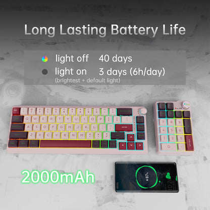 K68 Pro Gaming Keyboard, Layout Compact Wireless Mechanical Keyboard, Gasket Hot Swappable Custom BT 5.0/2.4G/USB-C Office Keyboard for Windows Mac (Purple-White, Eternity Tactile Switch)