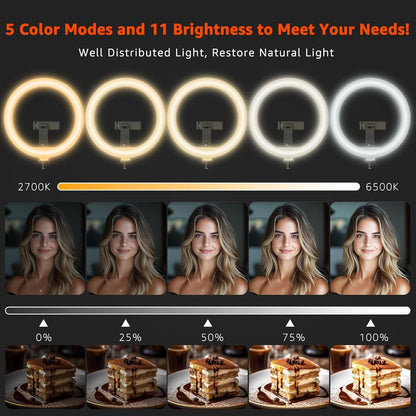 10" LED Ring Light with Overhead Phone Stand, CRI≥95 1200lm Dimmable Lighting, Adjustable Metal Arm with Remote & Phone Holder, for Streaming, Makeup, Zoom Calls, Photography