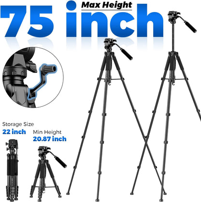 Camera Tripod, 75” Heavy Duty Tripod for Camera with Phone Holder and Travel Bag, Compatible with Video Camera, DSLR, Spotting Scopes, Camcorder, GoPro, Cell Phone, Max Load 16LB (Black)
