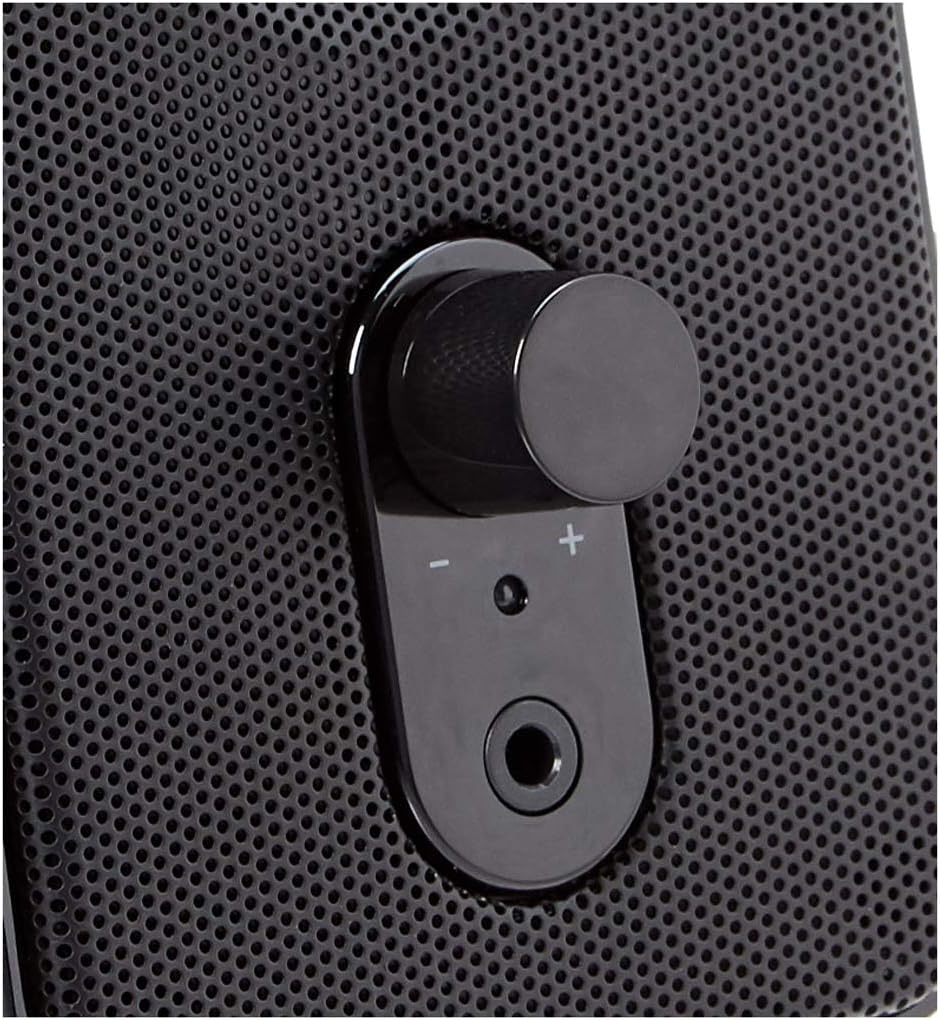 Amazon Basics Computer Speakers for Desktop or Laptop PC, AC-Powered (US Version), Black