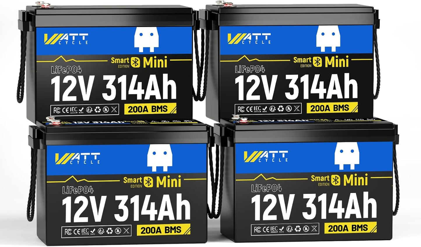 48V 314Ah (4 Packs) Mini LiFePO4 Lithium Battery with Bluetooth, Low-Temp Protection, 10000+ Deep Cycles, 16kWh Energy, for RV, Off-Grid, Solar Power System, Home Backup, Back up Power, Marine