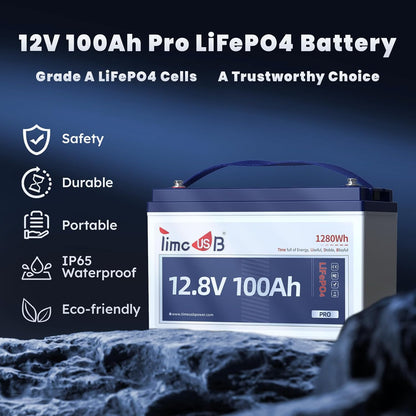 12V 100Ah Pro LiFePO4 Battery 2 Packs, Grade A Battery Cells, Group 31 Deep Cycle Lithium Battery, 100A BMS,10-Year Lifetime, Suitable for RV, Solar Home System and Off-grid Application