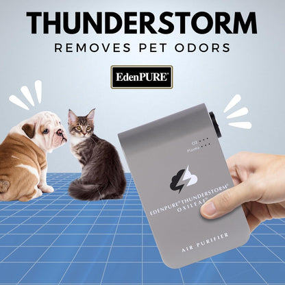 EdenPURE Thunderstorm III Air Purifier – Small Plug-In Ozone Generator & Ionizer – Eliminates Odors, Pet Smells, Smoke, Mold – Filter-Free Portable Cleaner for Home, Travel, Car, Office Use