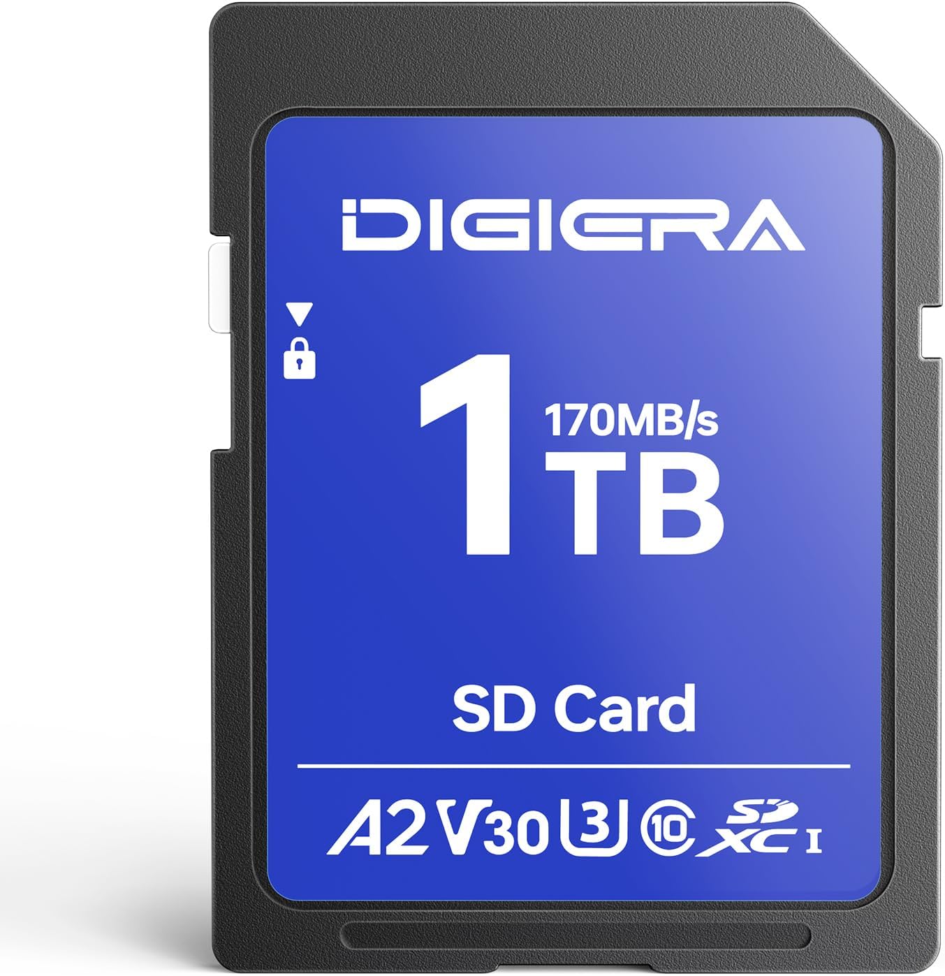 1T LS100 SDXC UHS-I Memory Card - up to 170MB/s, C10, U3, V30, 4K UHD, SD Card for Computers, Digital Cameras, Home Theatre Devices, Car Navigation Systems (1 Pack)