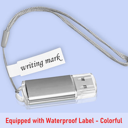 USB Thumb Drive 2GB Flash Drives 20 Pack, Nicepicten Memorias USB 2.0 Memory Stick Fat Flash Zip Drive 2 GB Jump Drives Multipack Pendrive with Landards and Lables (Sliver 2GB, 20 Pieces)