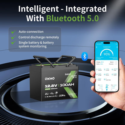 12V 100Ah LiFePO4 Battery with Bluetooth, BCI Group 24, Built-in 100A BMS, 1280Wh Rechargeable Deep Cycle Lithium Battery, 15000+ Cycles for RV, Marine, Solar, Trolling Motor, Home, Off-Grid