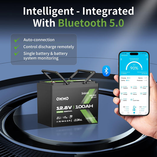 12V 100Ah LiFePO4 Battery with Bluetooth, BCI Group 24, Built-in 100A BMS, 1280Wh Rechargeable Deep Cycle Lithium Battery, 15000+ Cycles for RV, Marine, Solar, Trolling Motor, Home, Off-Grid