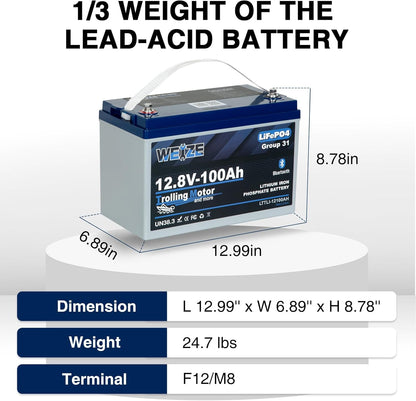 Weize 12V 100Ah TM Bluetooth LiFePO4 Lithium Battery, Built-in 120A BMS, Low-Temp Protection Group 31 Deep Cycle 500A/3S Peak Discharge Battery for Trolling Motor, Marine, Boat, RV, Solar