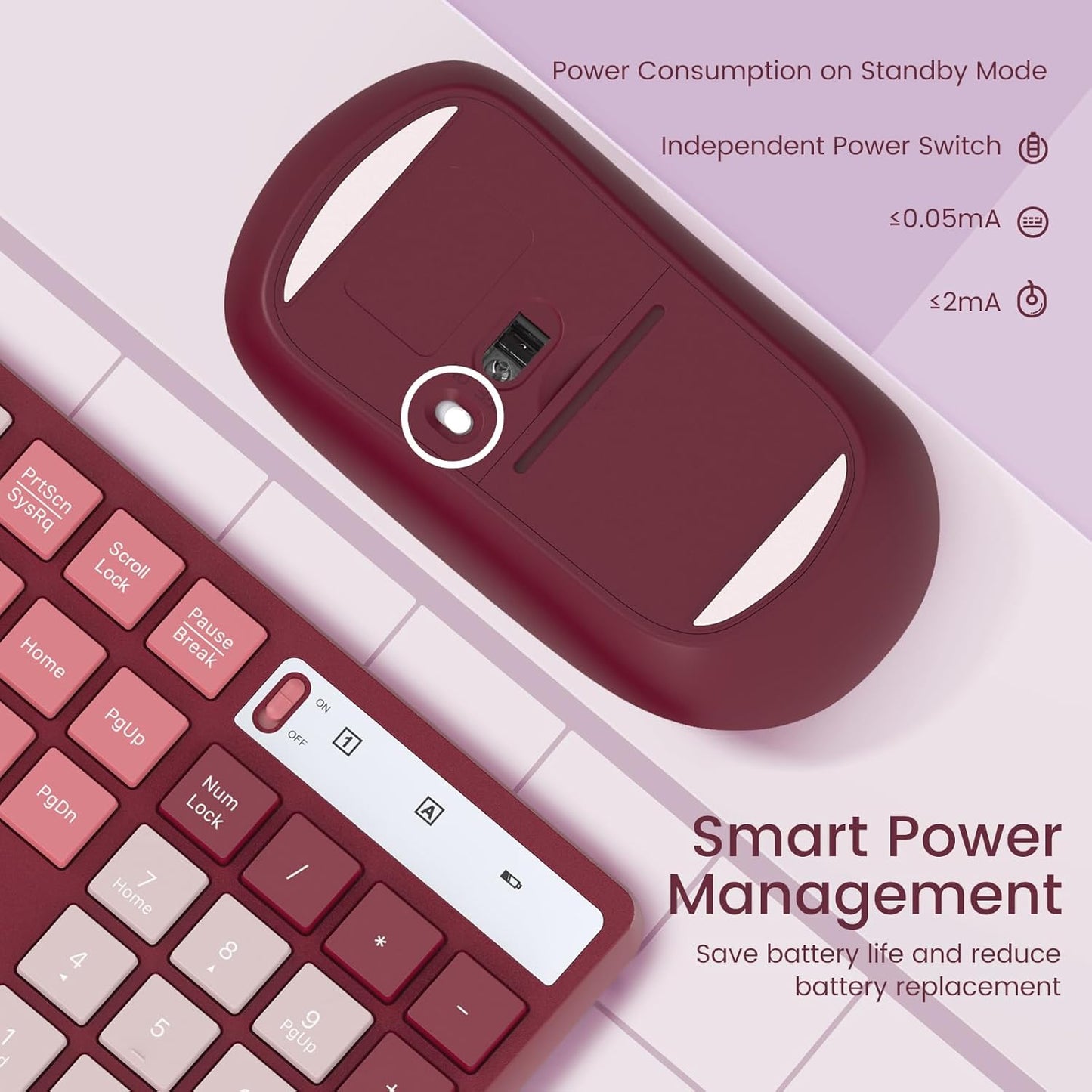 Wireless Keyboard and Mouse Combo, Lovaky 2.4G Full-Sized Ergonomic Keyboard Mouse, 3 DPI Adjustable Cordless USB Keyboard and Mouse, Quiet Click for Computer/Laptop/Windows/Mac (1 Pack, Rose)