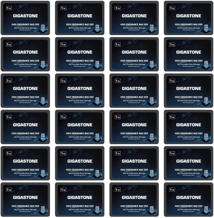 Gigastone 1TB NAS SSD Drive (24-Pack) 24/7 Durable TLC High Endurance RAID Data Storage Network Attached Storage 2.5" SATA Internal Solid State Hard Drives