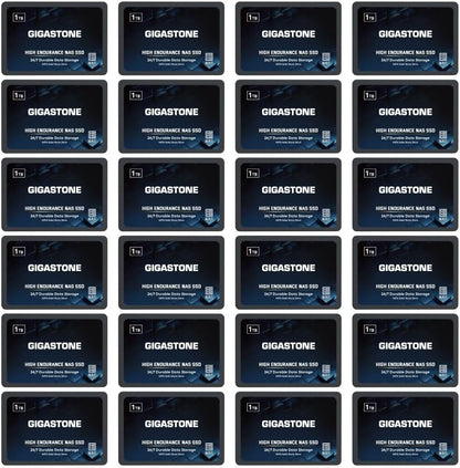 Gigastone 1TB NAS SSD Drive (24-Pack) 24/7 Durable TLC High Endurance RAID Data Storage Network Attached Storage 2.5" SATA Internal Solid State Hard Drives