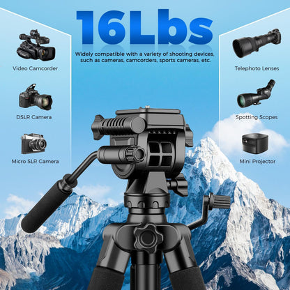 Camera Tripod, 75” Heavy Duty Tripod for Camera with Phone Holder and Travel Bag, Compatible with Video Camera, DSLR, Spotting Scopes, Camcorder, GoPro, Cell Phone, Max Load 16LB (Black)