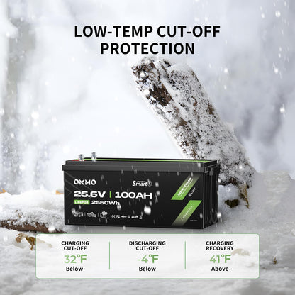 OKMO 24V 100Ah LiFePO4 Lithium Battery with Bluetooth for Marine, Trolling Motor, RV, 10 Years 15000+ Deep Cycles, 25.6V Iron Phosphate for Home Solar Energy Storage Off-Grid