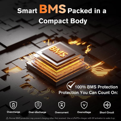 2 Pack 12V 100Ah Mini LiFePO4 Lithium Battery,1280Wh Lithium Battery with 15000 Cycles,Built-in EV GradeA+ Cell,100A BMS,Low-Temperature Protection -Ideal for Trolling Motors,RVs,Off Grid