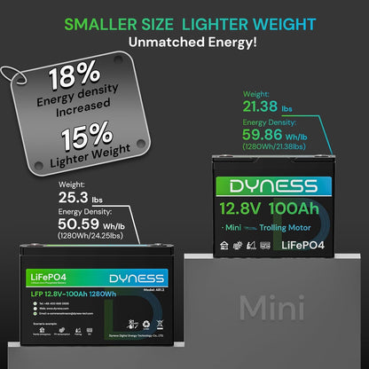 12V 100Ah Mini LiFePO4 Battery Group 24, 12.8V Lithium Battery with 100A BMS, Low-Temp Protection & 10 Years Lifespan for Trolling Motor, Marine, Boat, RVs, Solar Off-Grid, Golf Cart