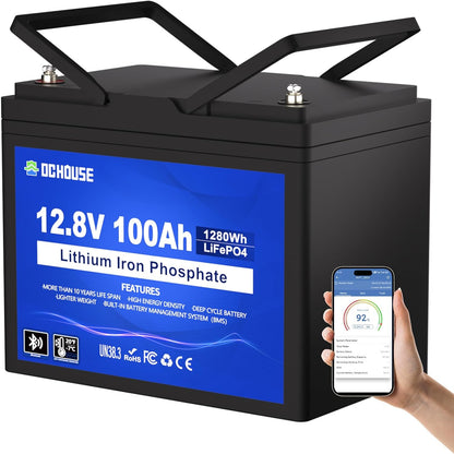 DC HOUSE 12V 100Ah LiFePO4 Lithium Battery, Bluetooth & Low Temp Cut-Off, Group 31 Lithium Battery, Up to 15000 Cycles, 100A BMS, Perfect for Trolling Motors, Marine, Boat, Solar