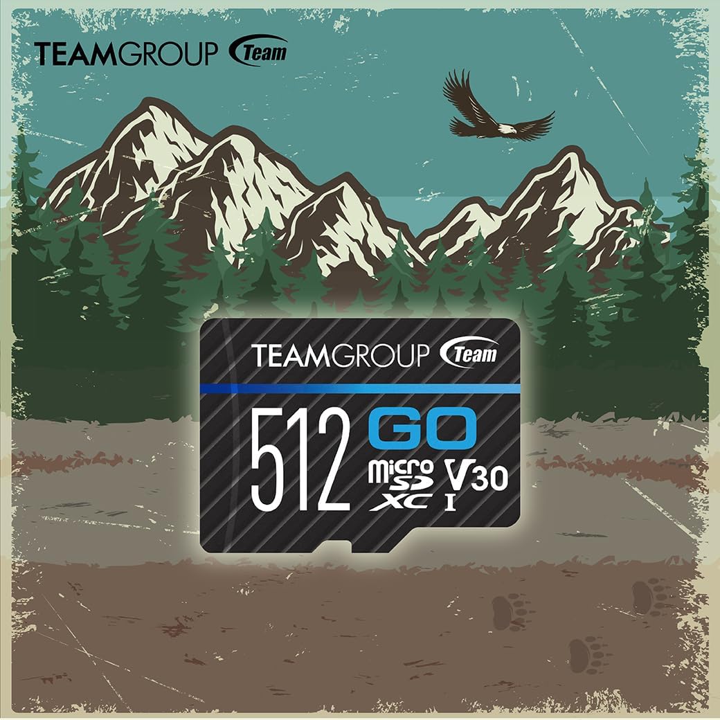 TEAMGROUP GO Card 256GB x 5 Pack Micro SDXC UHS-I U3 V30 4K for GoPro & Drone & Action Cameras High Speed Flash Memory Card for Outdoor Sports, 4K Shooting, Nintendo-Switch TGUSDX256GU368