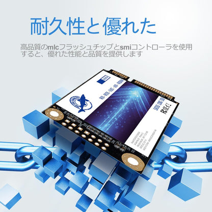 Dogfish Msata 256GB Internal Solid State Drive Mini Sata SSD Disk