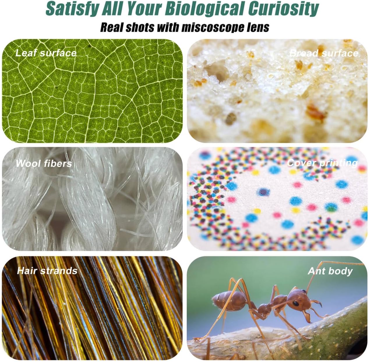 Phone Microscope 200X Pocket Magnifier Camera with CPL Lens/Lights, Zoom Universal Portable Phone Microscope with Clip for 99% Phone, Perfect for Coin/Stamp/Plant Inspection