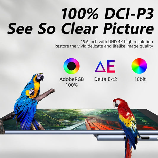 Portable Monitor OLED 15.6 Inch Touchscreen 4K UHD 3840X2160 100% DCI-P3 100000:1 Multi-Touch HDR USB-C HDMI Travel Monitor for Laptop with Kickstand & SleeveCase