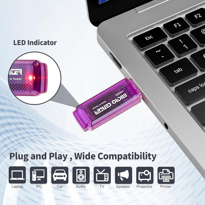 INLAND Micro Center Super Speed 256GB 2-Pack Ultra Flash Drive USB 3.0/USB3.1 Gen1 Memory Stick with Keychain Thumb Drive Photo Stick Jump Drive