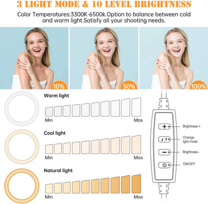 8 inch Desk Ring Light with Stand, Adjustable Computer Circle Light for Video Conference Lighting, Zoom Calls, Virtual Meeting, Video Recording, Selfie Light with Phone Holder for Streaming, Podcast