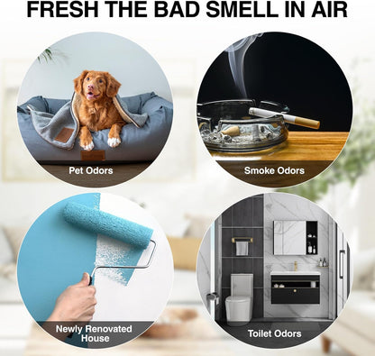 Ozone Generator – 80,000mg/h High-Capacity O3 Air Purifier for Odor Control Home, Kitchen, Car, Office, Basement, Pets, and Smoke – Covers Up to 6,000 Sq Ft