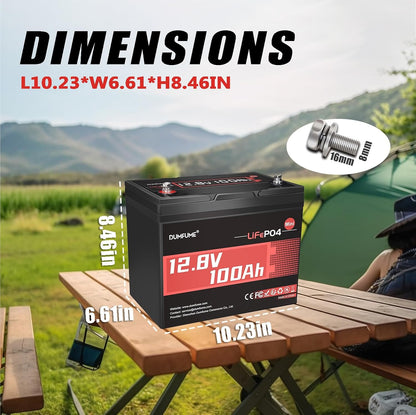 2 Pack 12V 100Ah Mini LiFePO4 Battery, Built-in 100A BMS,1280Wh Deep Cycle Rechargeable Lithium Battery 6000+ Cycles 10-Year Lifespan for RV, Solar, Marine and Home Energy Storage