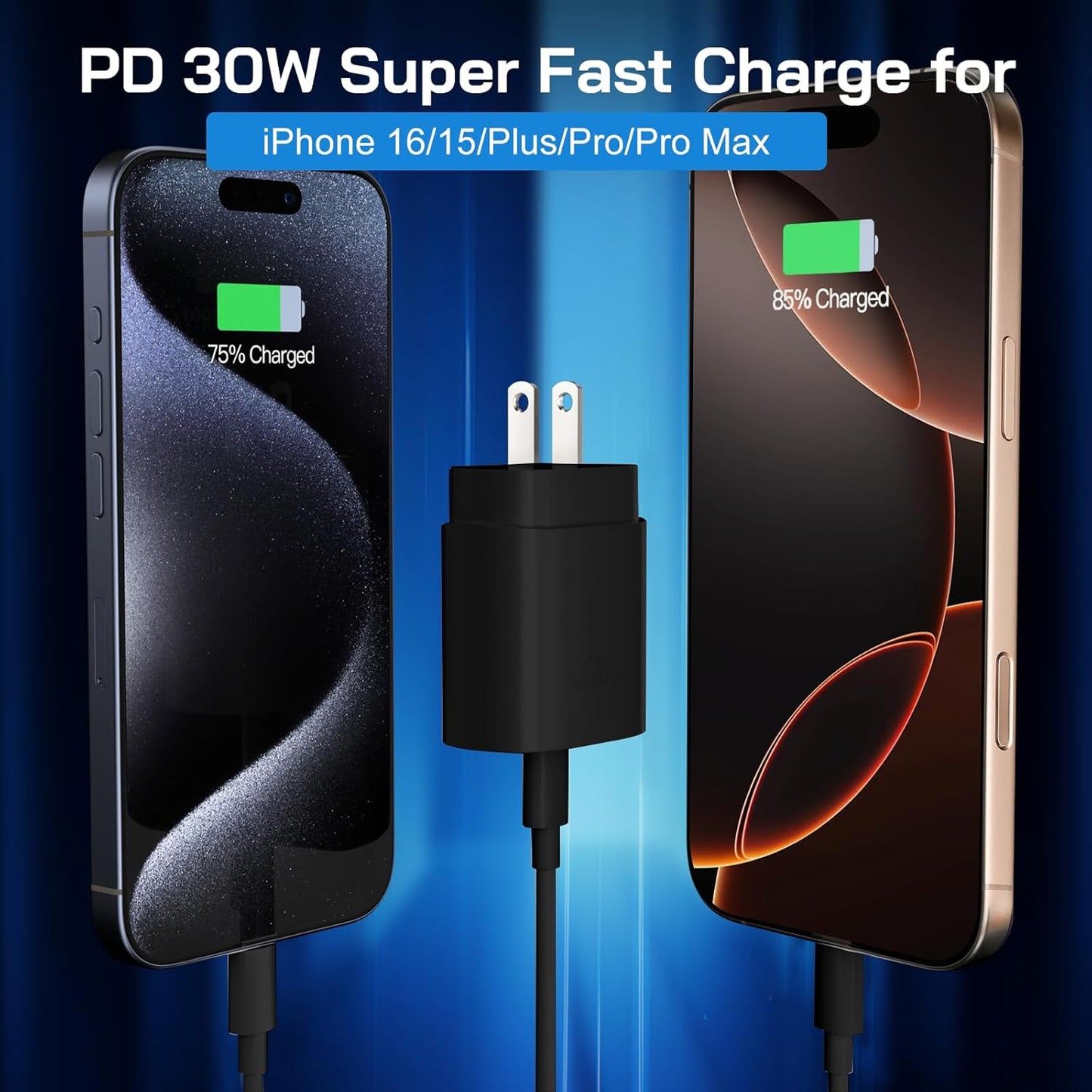 30W USB C i Phone 16 15 Charger Fast Charging, 2PACK Wall Charger for iPhone 16 15 Pro Max Charger Cord 10FT Fast Type C Charger Block for iPhone 16/16 Pro/15 Plus/15 Pro/15 Pro Max, iPad Pro, Black