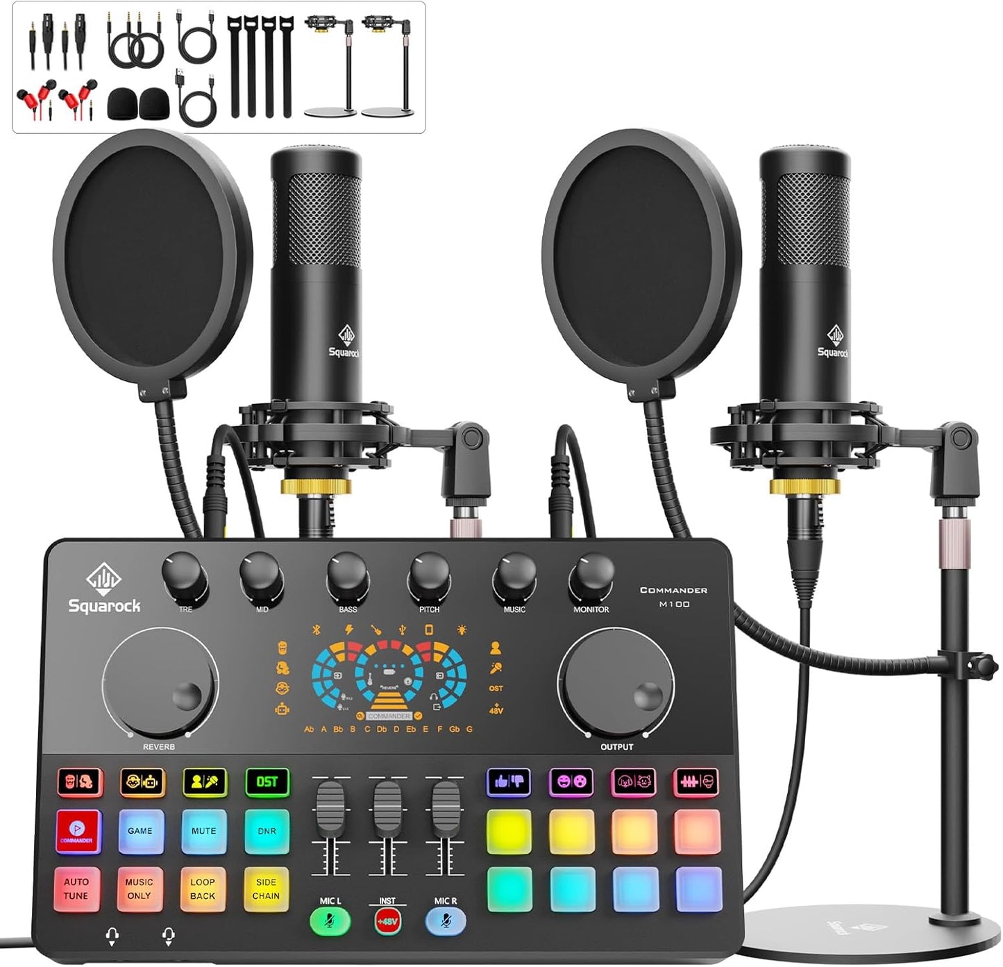 Podcast Equipment Bundle for 2 with Dual XLR-3.5 Condenser Micophones with Mic Pop Filters Audio Equipment for Live Streaming/ Recording, Online Gaming for Phone/ Laptop/ PC Audio Interface M100