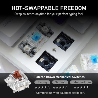 iRocks K74R Wireless RGB Illuminated Mechanical Gaming Keyboard, Hot-Swappable Switches, Floating Design, PBT 107 Keys NKRO, Detachable USB-C Cable - White Amethyst (Brown Switches)