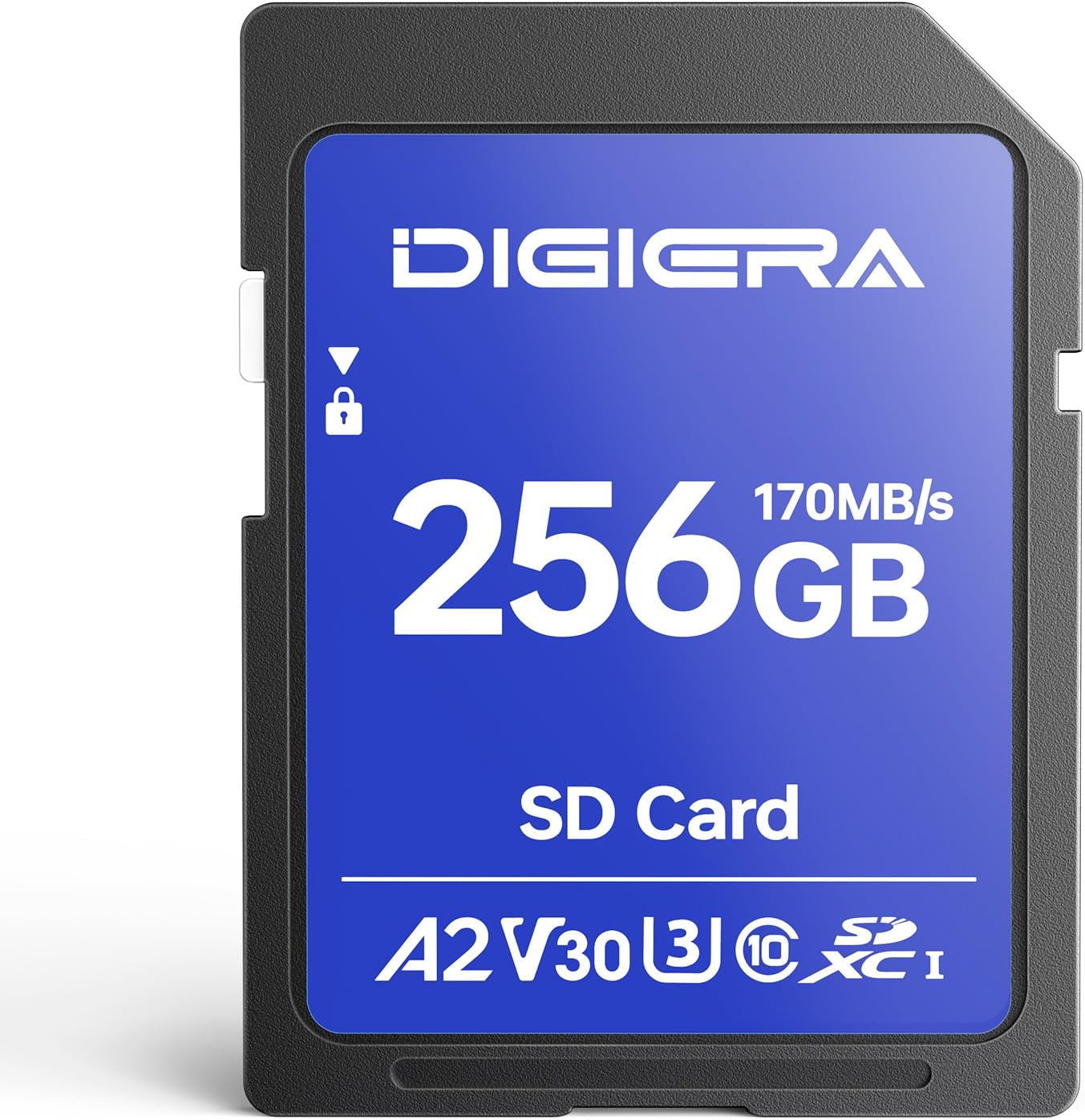 256GB LS100 SDXC UHS-I Memory Card - up to 170MB/s, C10, U3, V30, 4K UHD, SD Card for Computers, Digital Cameras, Home Theatre Devices, Car Navigation Systems (1 Pack)