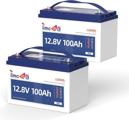 12V 100Ah Pro LiFePO4 Battery 2 Packs, Grade A Battery Cells, Group 31 Deep Cycle Lithium Battery, 100A BMS,10-Year Lifetime, Suitable for RV, Solar Home System and Off-grid Application