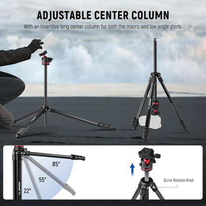 NEEWER Basics 66.5"/169 cm Travel Tripod for Camera, Lightweight Portable DSLR Stand with Ball Head, Arca Type QR Plate, Cell Phone Holder Compatible with iPhone Video Recording, Max Load 11 lb, TP12