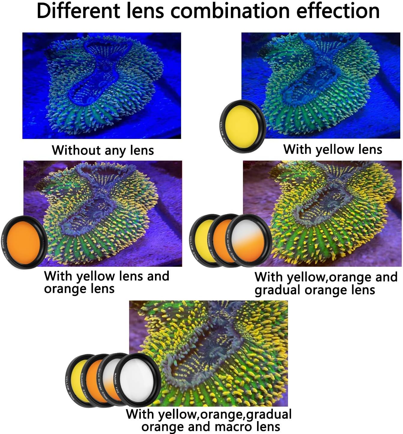 Reef Coral Lens Phone Kits for Phone 7 Lenses Kit 1 Dust Shield Case 2 Lens Clips