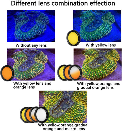 Reef Coral Lens Phone Kits for Phone 7 Lenses Kit 1 Dust Shield Case 2 Lens Clips