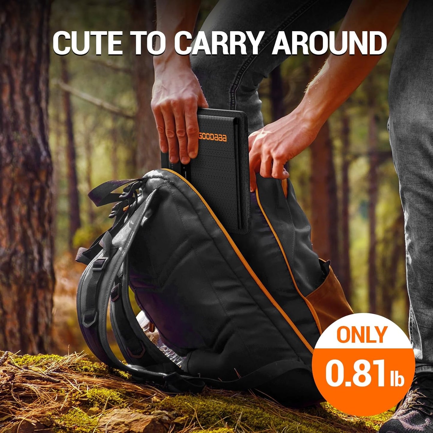 GOODaaa 10W Portable Solar Charger with Dual USB Outputs Super Handy Foldable Size 24% High Conversion Efficiency Solar Panels, Waterproof & Dustproof & Shockproof, Wide Compatibility