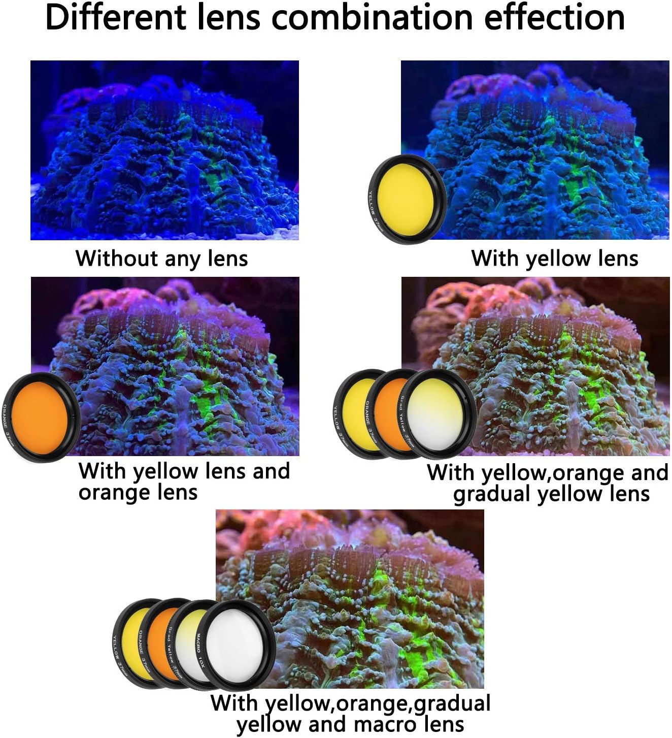 Reef Coral Lens Phone Kits for Phone 7 Lenses Kit 1 Dust Shield Case 2 Lens Clips
