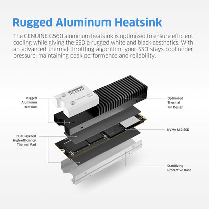 KLEVV Genuine G560 1TB M.2 2280 NVMe PCIe Gen5x4 Internal SSD Heatsink Included, up to 13000MB/s with DRAM Cash (K01TBM2SP0-G56)