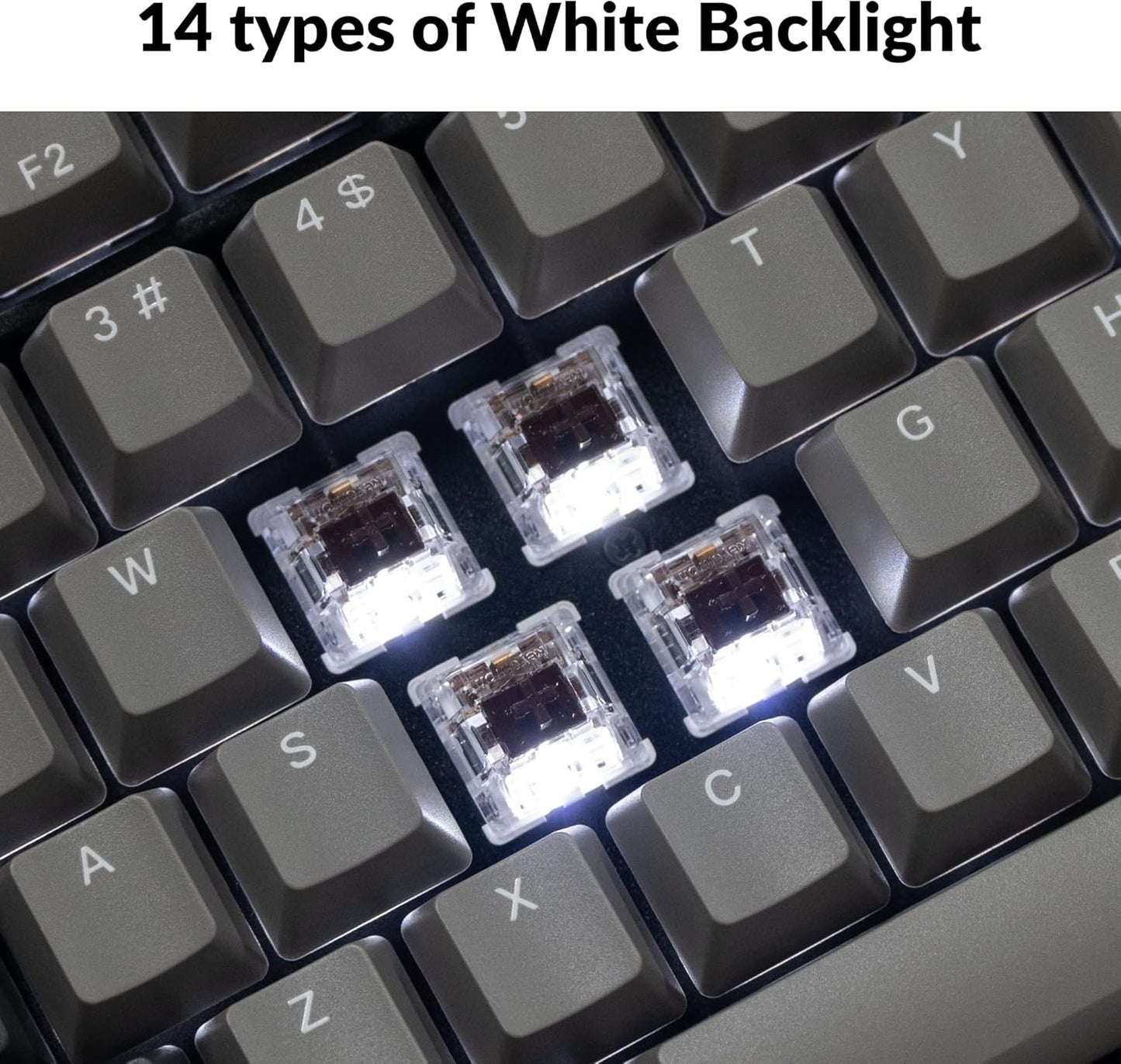 Keychron C2 Pro Wired Custom Mechanical Keyboard Full Size Layout QMK/VIA Programmable Macro White Backlit with Keychron K Pro Brown Switch OEM Profile Double-Shot PBT Keycaps for Mac Windows Linux