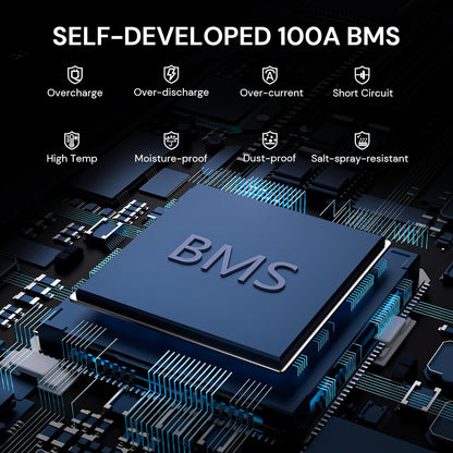 24V 100Ah LiFePO4 Lithium Battery, 2560Wh Large Capacity with Smart 100A BMS, 4000+ Deep Cycle, 10-Year Lifetime, Supports 4P2S Connection Up to 20.48kWh, Perfect for RV, Solar System, Marine