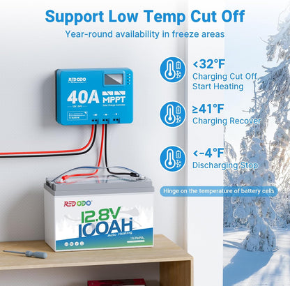 Redodo 12V 100Ah LiFePO4 Battery with Self Heating, Low Temperature Protection Group 31 Lithium Battery, Built in 100A BMS, 4000+ Deep Cycles, Perfect for RVs, Off-Grid in Cold Areas 2 Packs