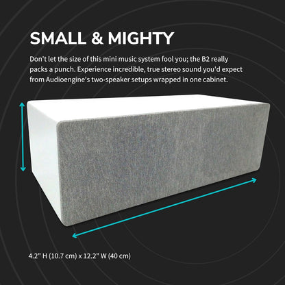 Audioengine All in One A2+ (B2) Portable Wireless Speaker - Audio with Lossless aptX Bluetooth and Analog Audio Input for Phone, Tablet, and Computers