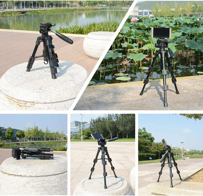 Mini Tripod for Camera,Zomei Travel Table Tripod with 3-Way Pan/Tilt Head 1/4 inches Quick Release Plate and Bag for DSLR Camera Tripod Carrying Bag