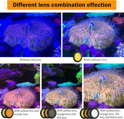 Reef Coral Lens Phone Kits 5 Lenses Kit 1 Dust Shield Case 2 Lens Clips