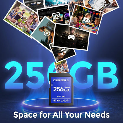 256GB LS100 SDXC UHS-I Memory Card - up to 170MB/s, C10, U3, V30, 4K UHD, SD Card for Computers, Digital Cameras, Home Theatre Devices, Car Navigation Systems (1 Pack)