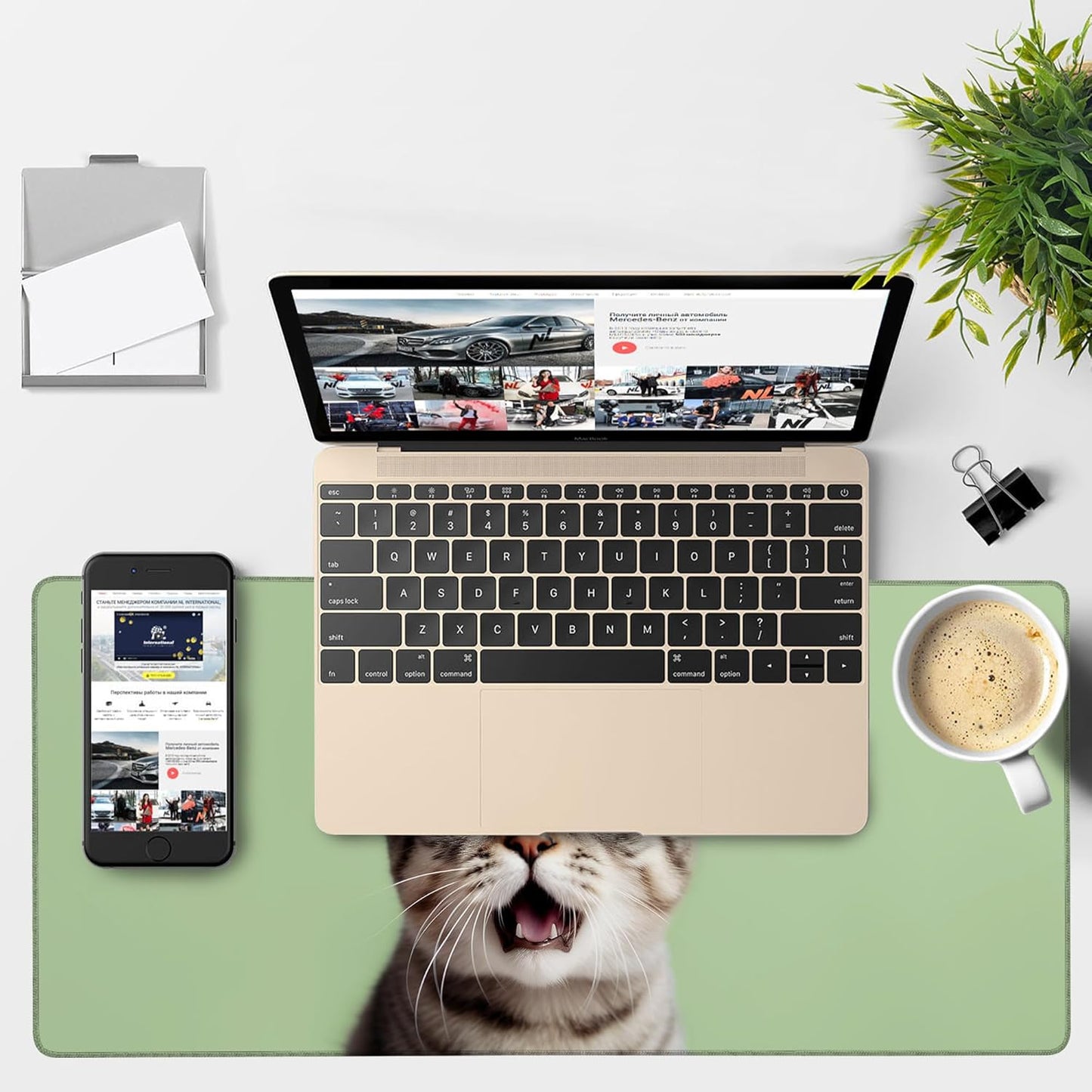 Large Mouse Pad A Surprised Cat Gaming Desk Pad Computer Keyboard Non-Slip Waterproof Mouse Mat with Rubber Base and Stitched Edges Entertainment Office Writing Desk Mat 35.4 x 15.7 Inches