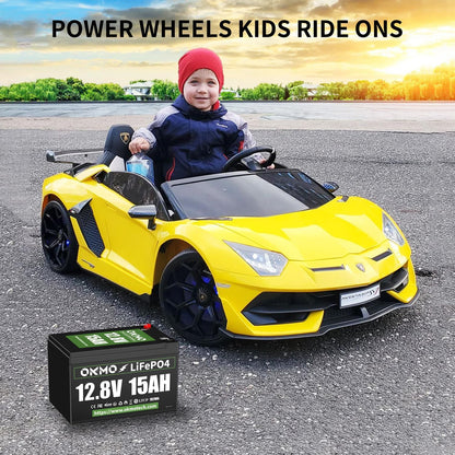 12V 15Ah Lithium Battery, Rechargeable LiFePO4 4000+ Cycles Rechargeable Battery Built-in 12A BMS for Scooter, Power Wheels, Fish Finder, UPS, Lighting and More